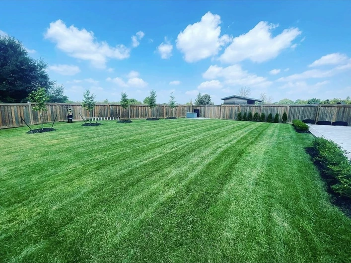Freshly striped backyard lawn with a wooden fence, trampoline and garden seating.