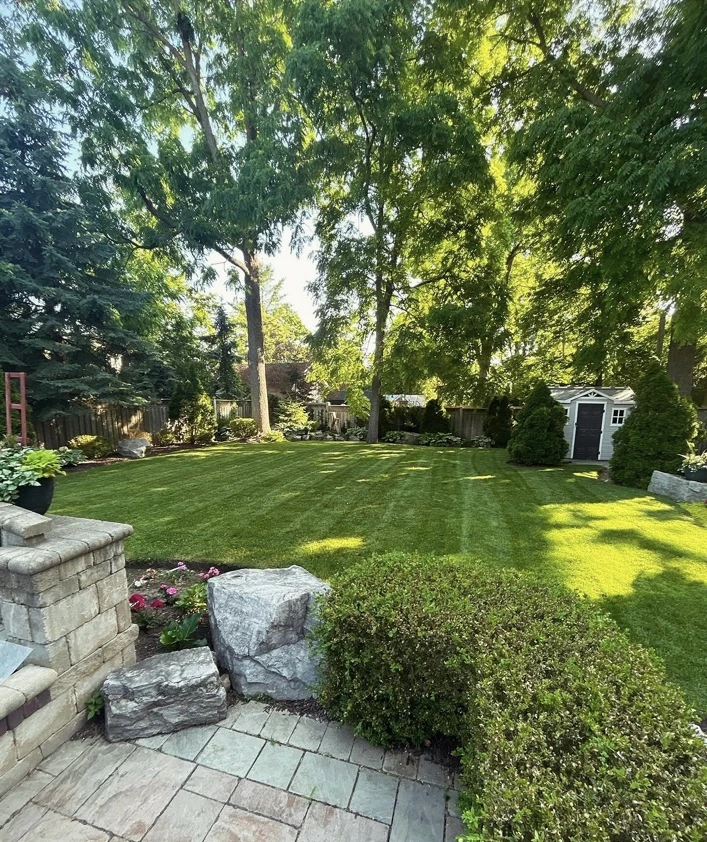 Striped lawn, clipped shrubs and mature trees beside a stone patio.