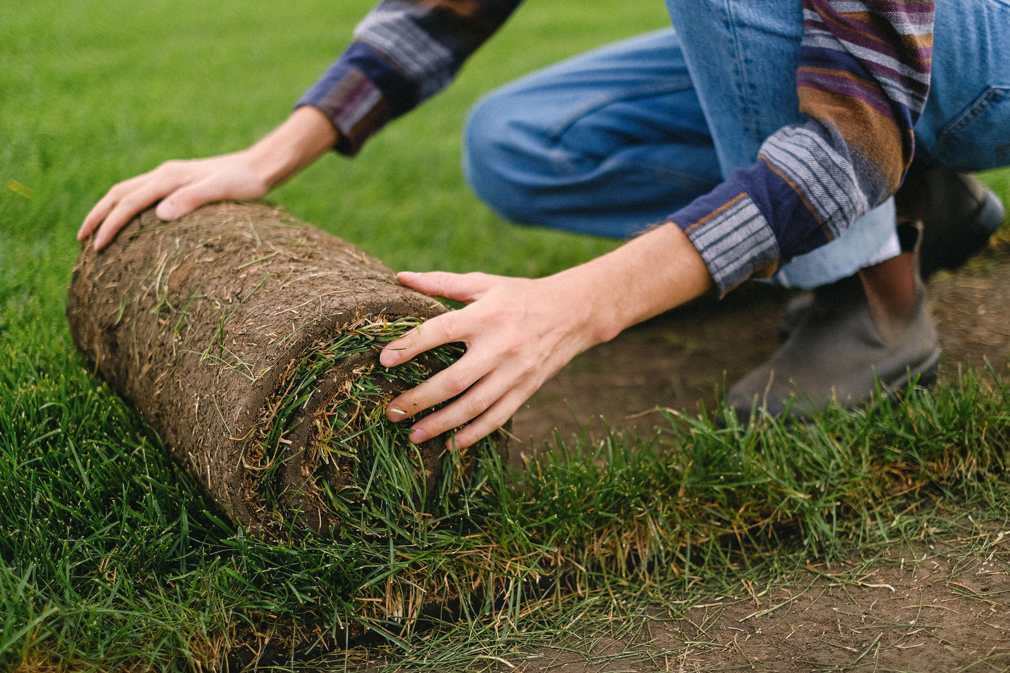 Close-up of a worker unrolling fresh sod over prepared soil to install a lawn.